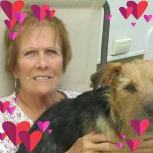 Meet your Posher, Midge